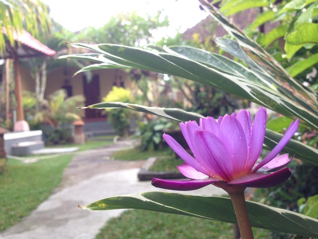 Dimuwa Ubud חדר תמונה