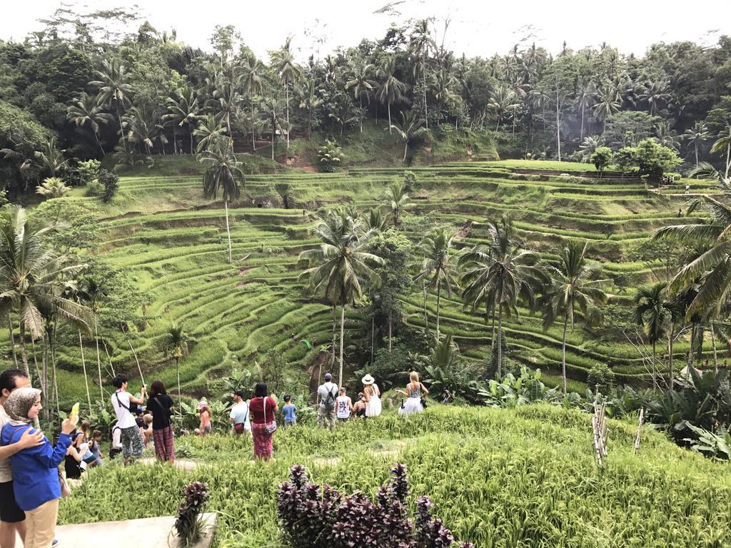 Dimuwa Ubud מראה חיצוני תמונה